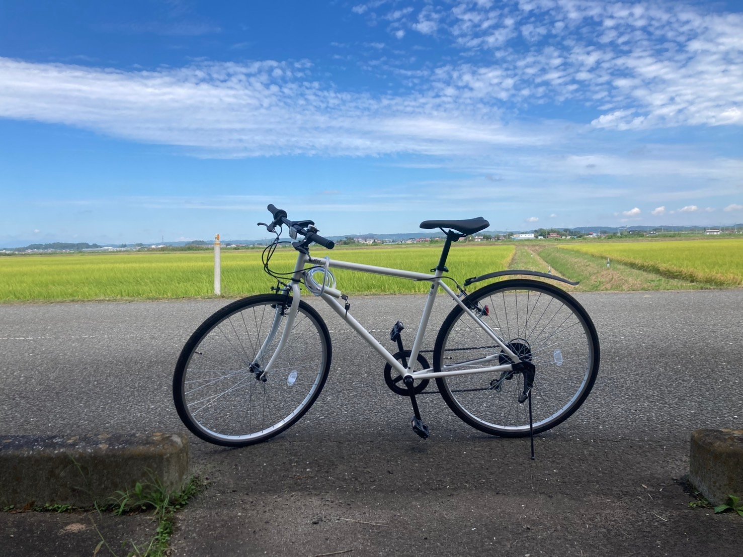 乗り回しております