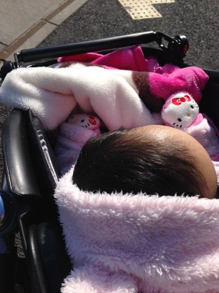 相棒になりました。わら