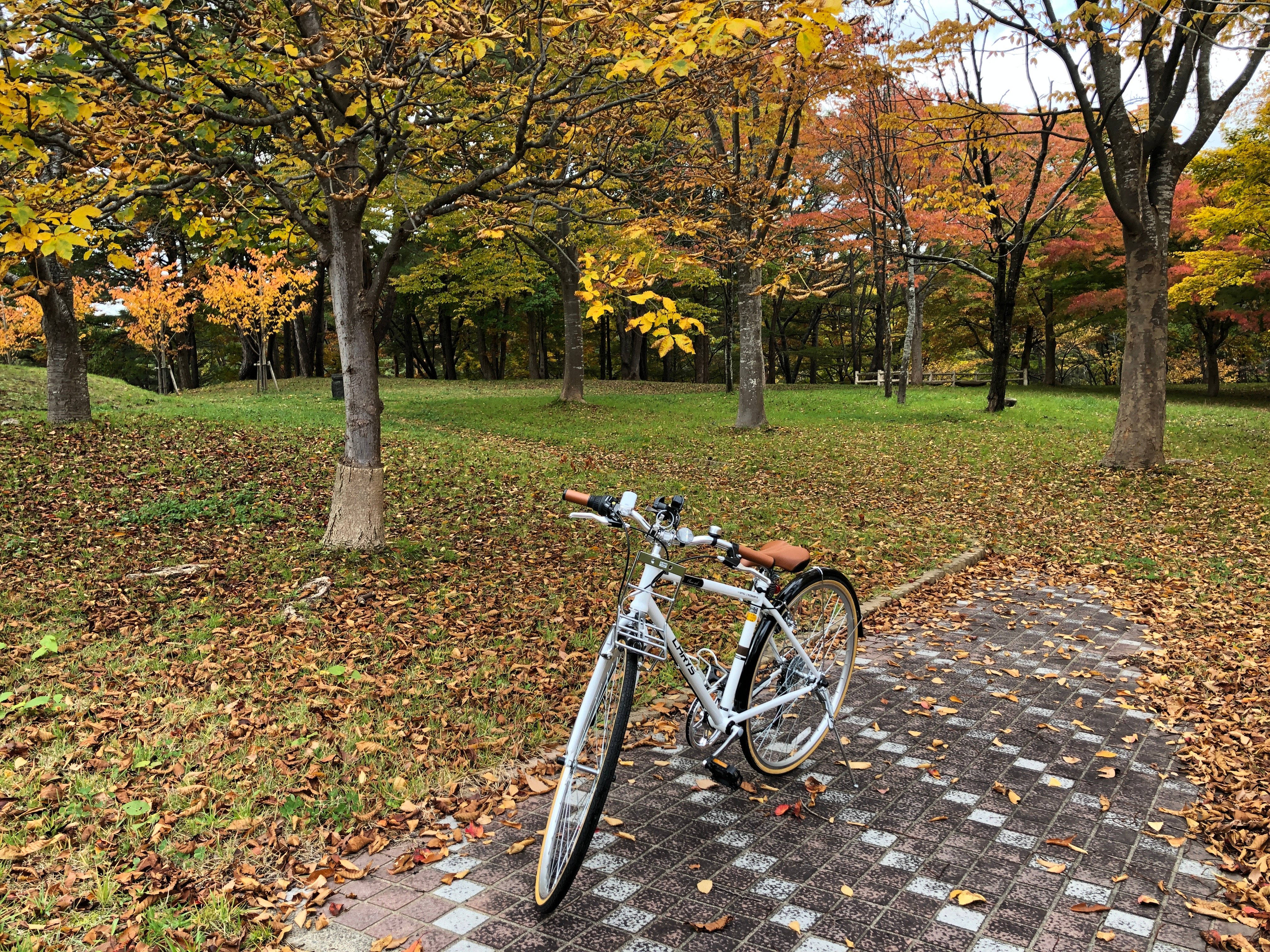 お出かけ楽しみます。