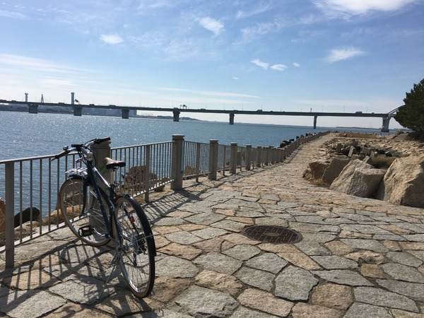 行動範囲も広がり、とても気に入りました。