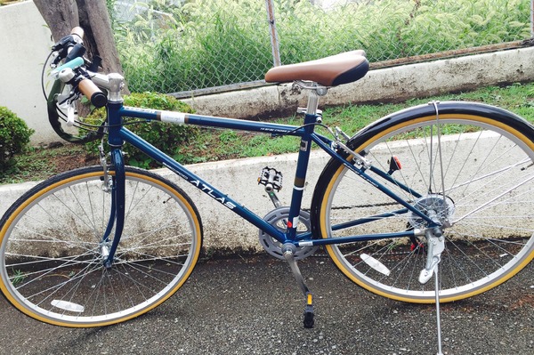 大変気に入りました!