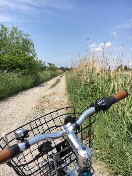 アウトドアの趣味を作ってくれた