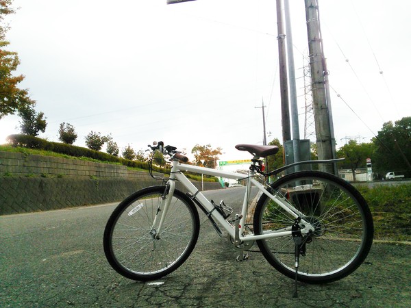 初めての1台には良いと思います