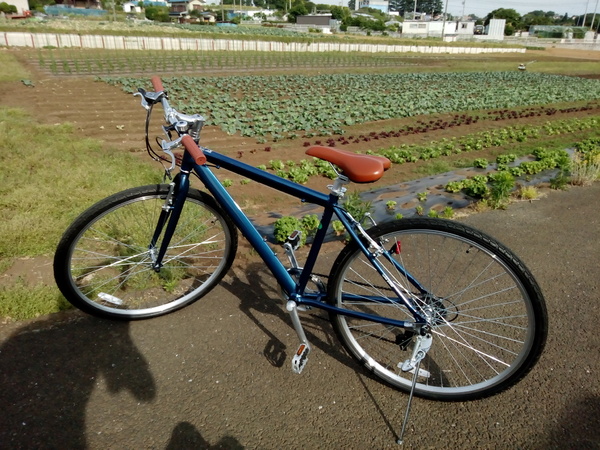 通勤自転車に