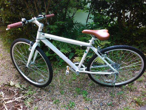 気に入りました