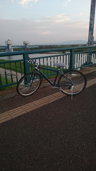 一人一台。自転車の義務化で医療費削減！