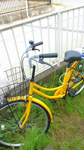 良い伴侶