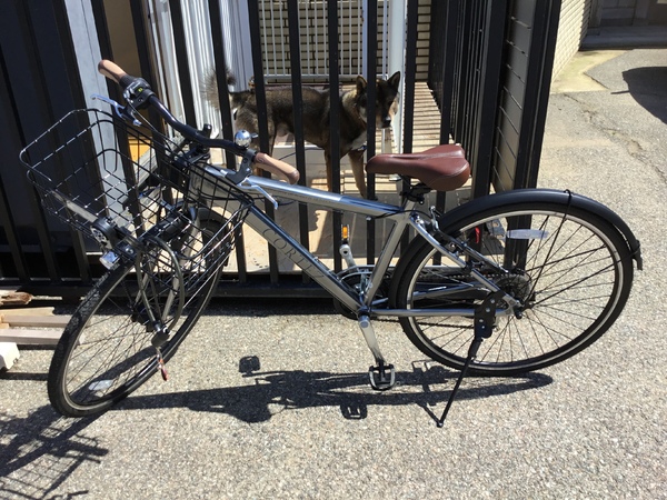 犬の散歩用に購入