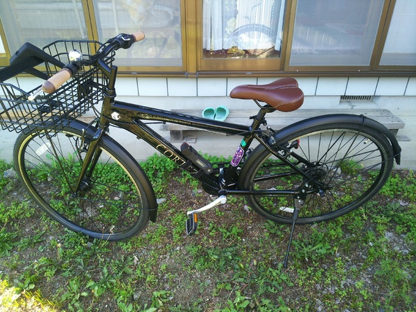 これはイイものだ！