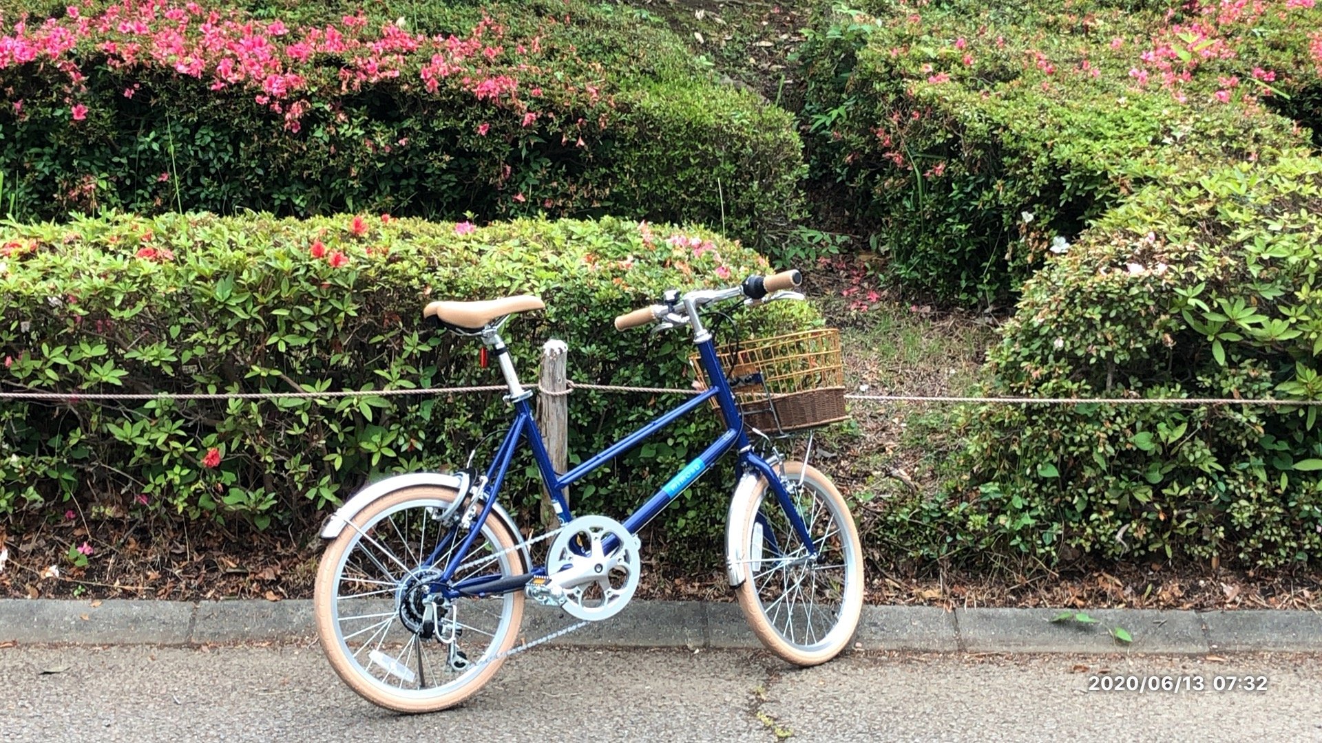 おしゃれでカワイイ