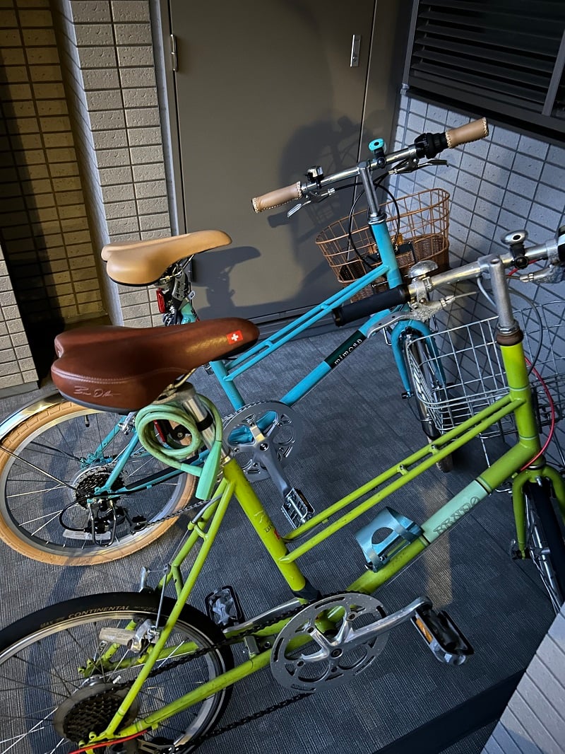 ミモザはお洒落です。