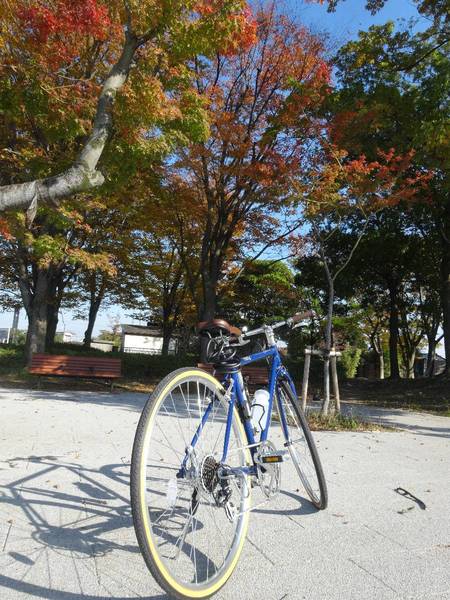 お気に入りです