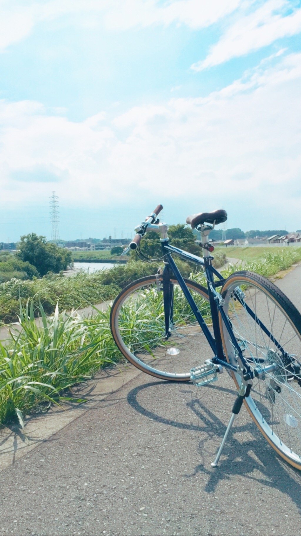 気に入りました!