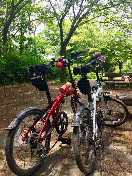 良いです。