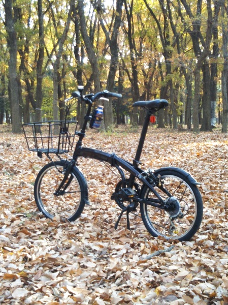 のんびりと日常使いには最高！近場の散歩にもｇｏｏｄ！