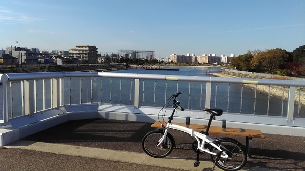 活躍しています