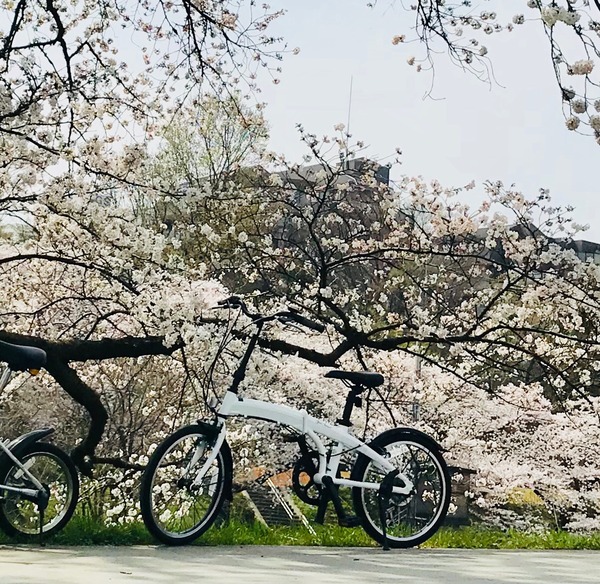 デザイナーのオススメ