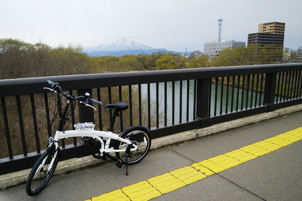 かわいいデザインなのに、機能性も抜群