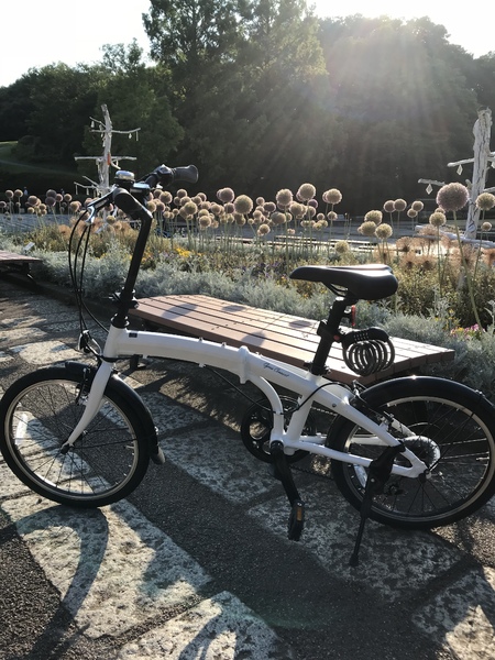 この価格でこのクオリティはすごい！