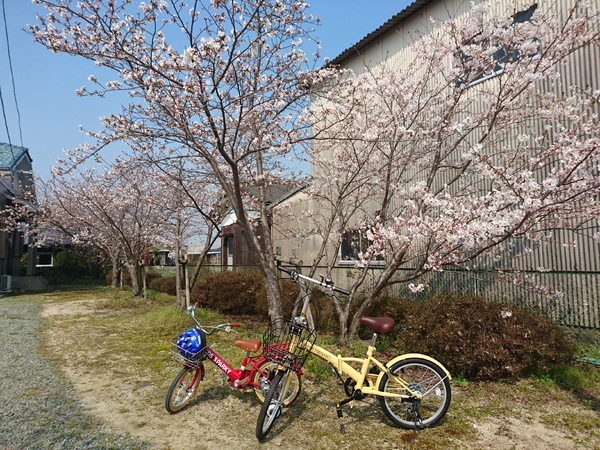 子供と練習用に