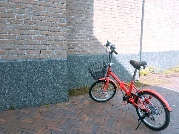 cyma compact　ピンクだよ