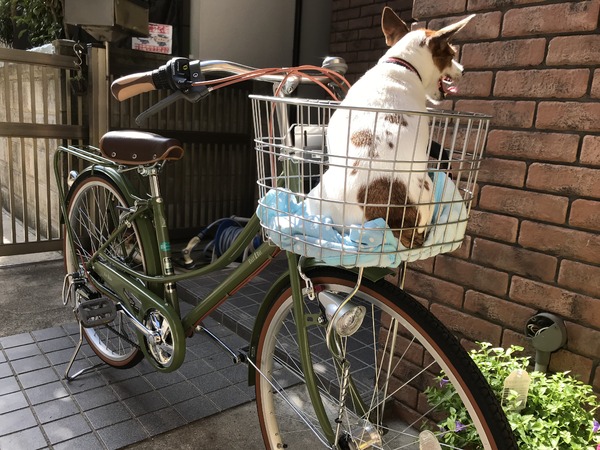 乗り心地最高❗️