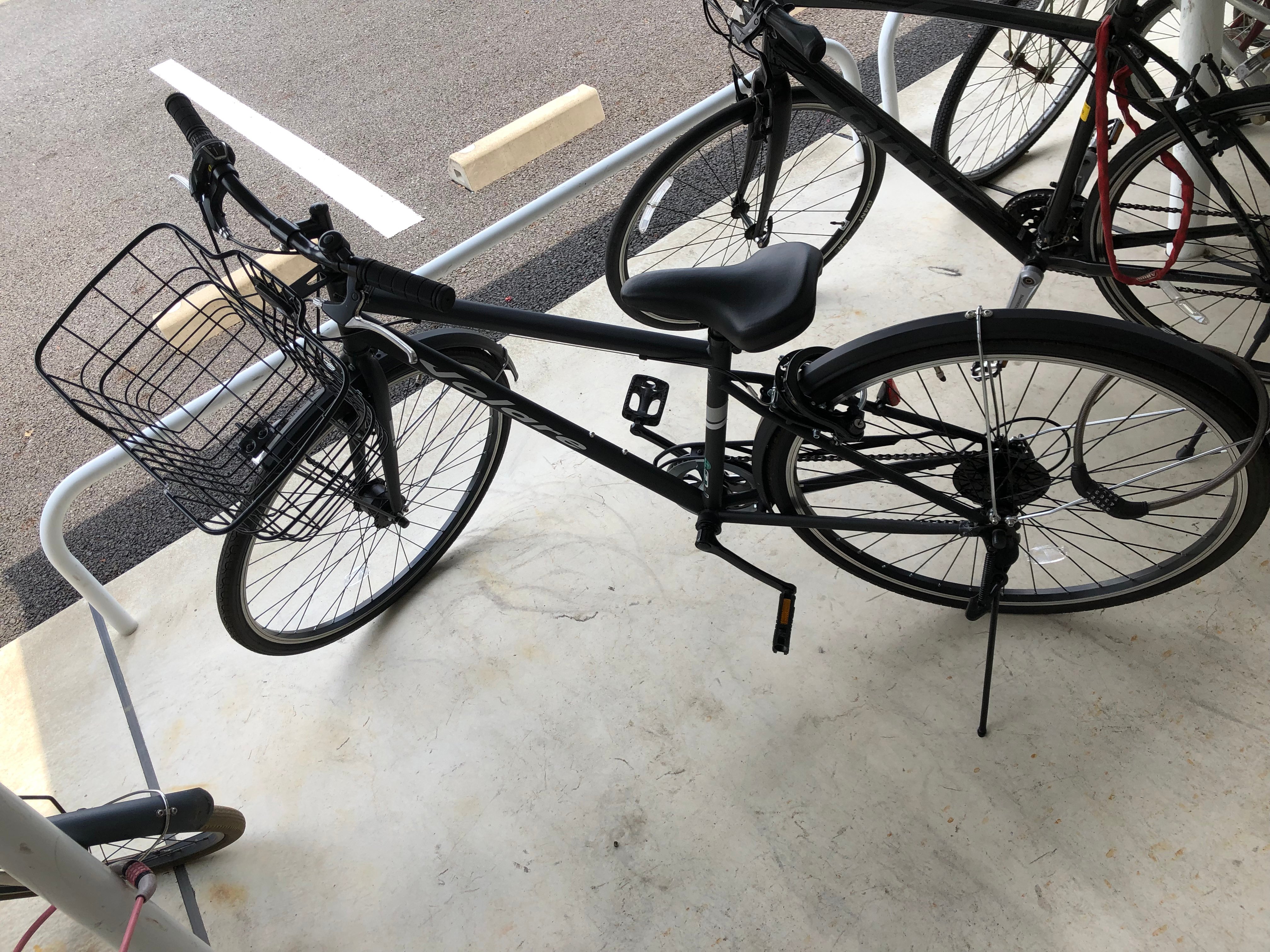 初購入