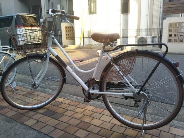 気に入りました