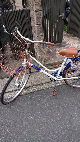 高校通学のため購入