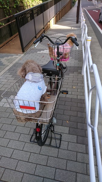 お気に入りマイバイク