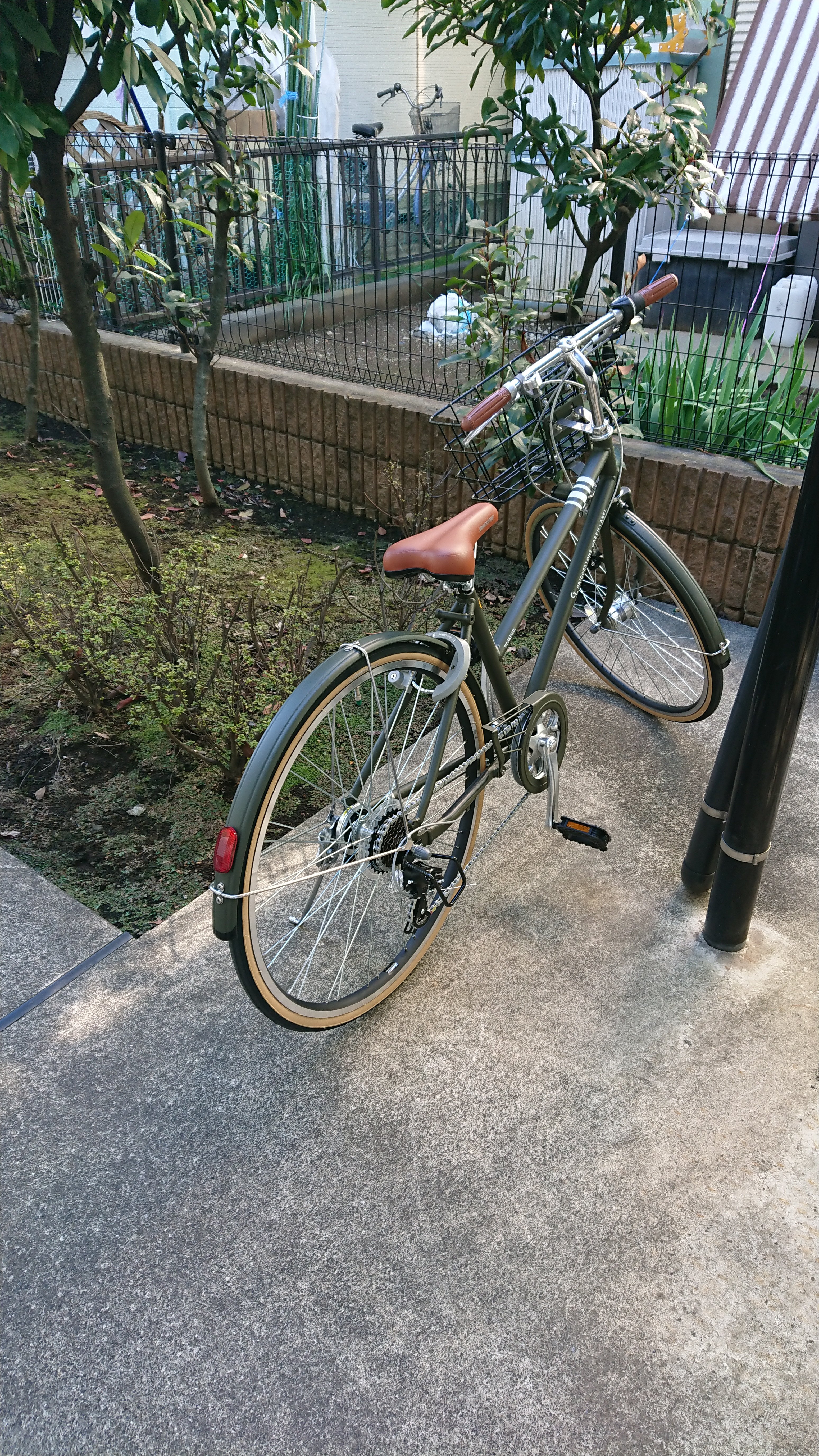 30年ぶりの自転車