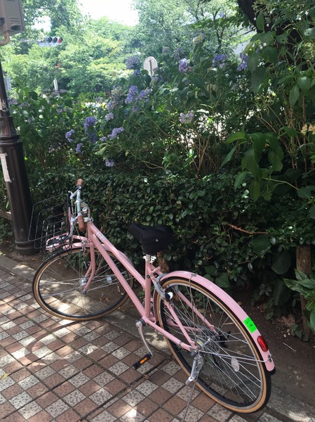 最高です！