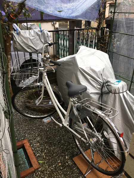 ガッチリしてます
