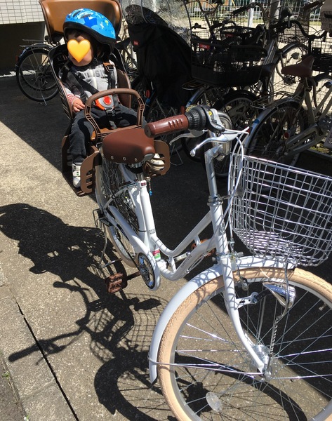 気に入っています。