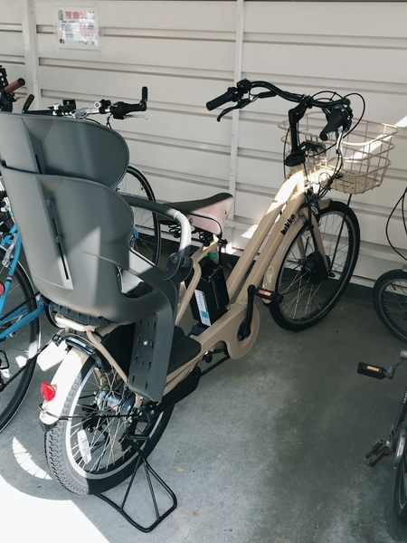 念願のビッケグリ