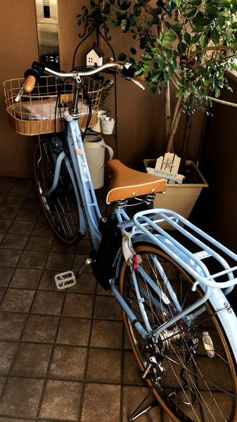 サドルだけ惜しい