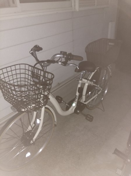 初通販自転車！