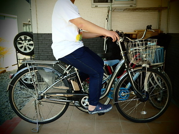 通学用に購入しました