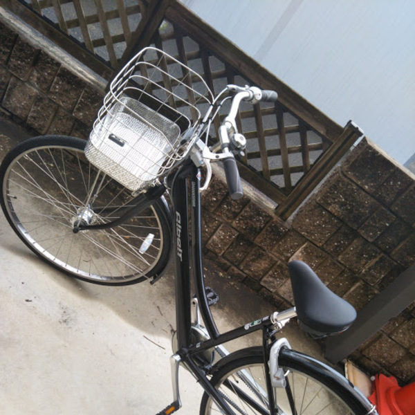 初めてのブリジストン