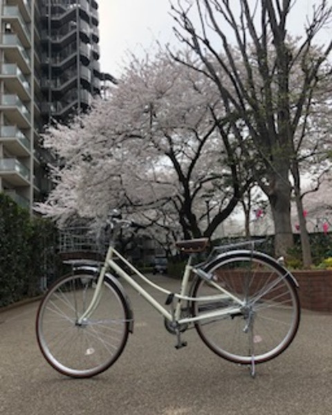 良い買い物できました