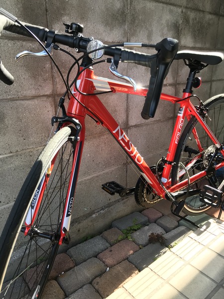 気に入ってます