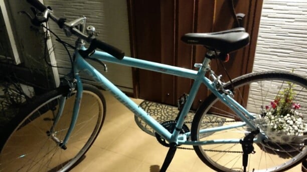 気に入っています