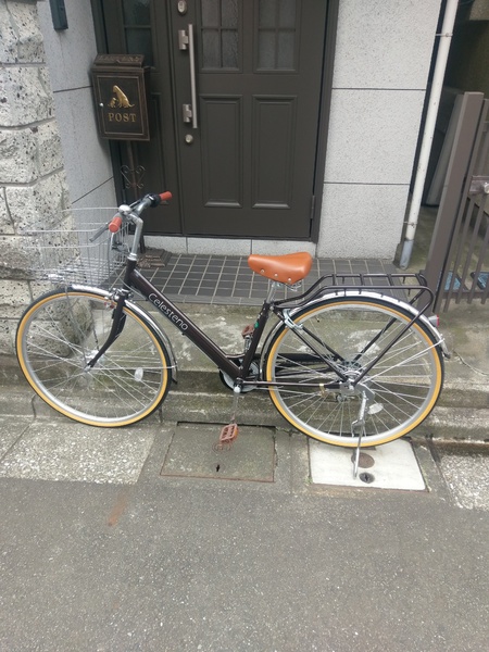 ダークブラウン☆☆☆