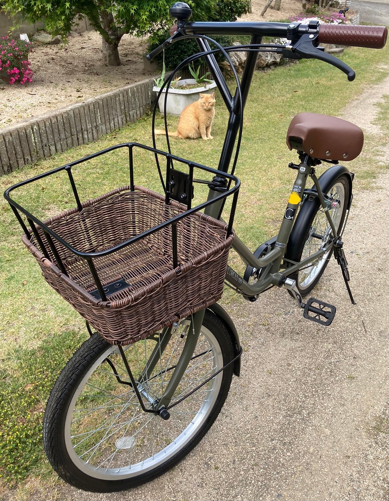 大変気に入っております