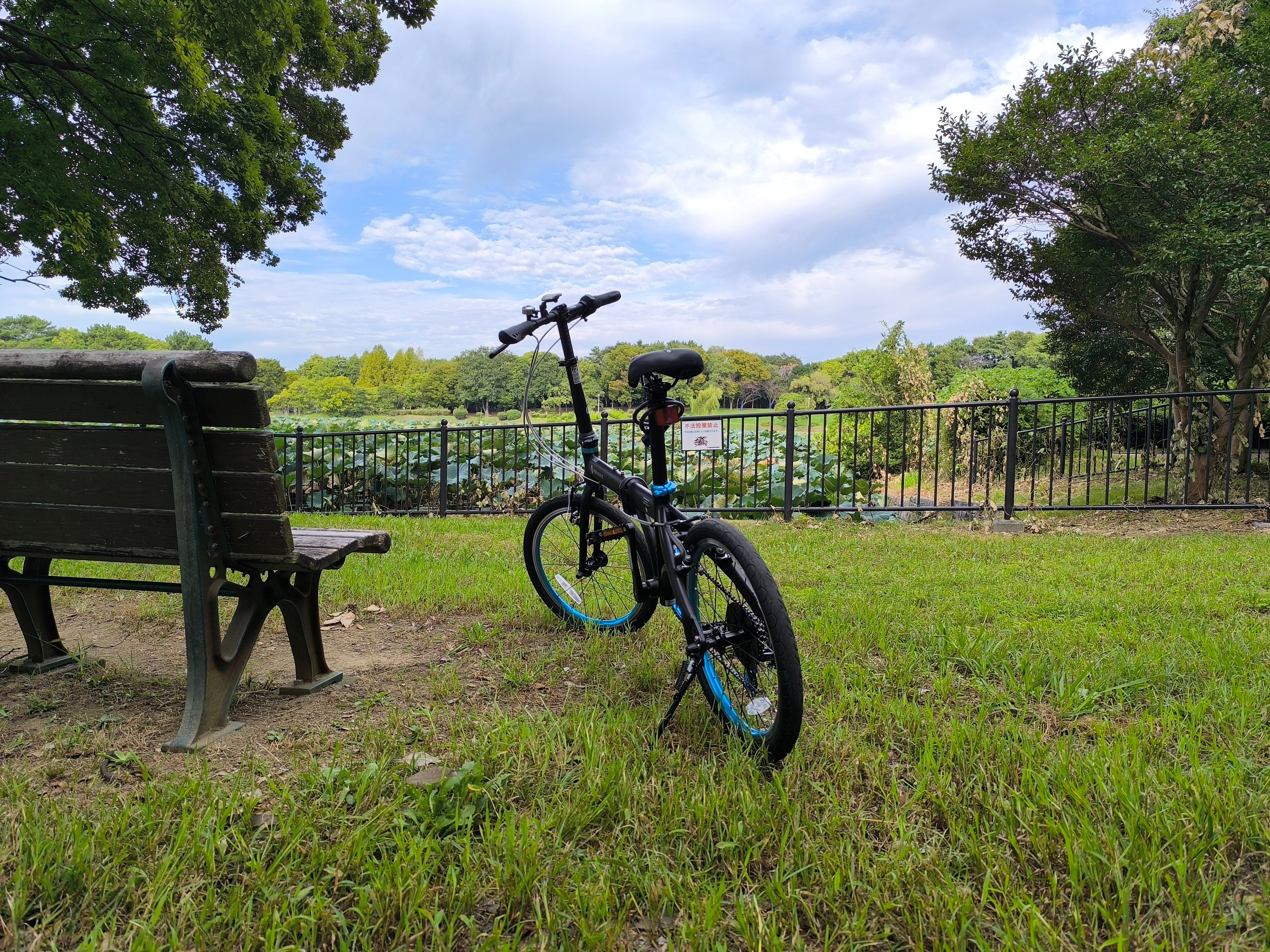 楽しみが増えました!