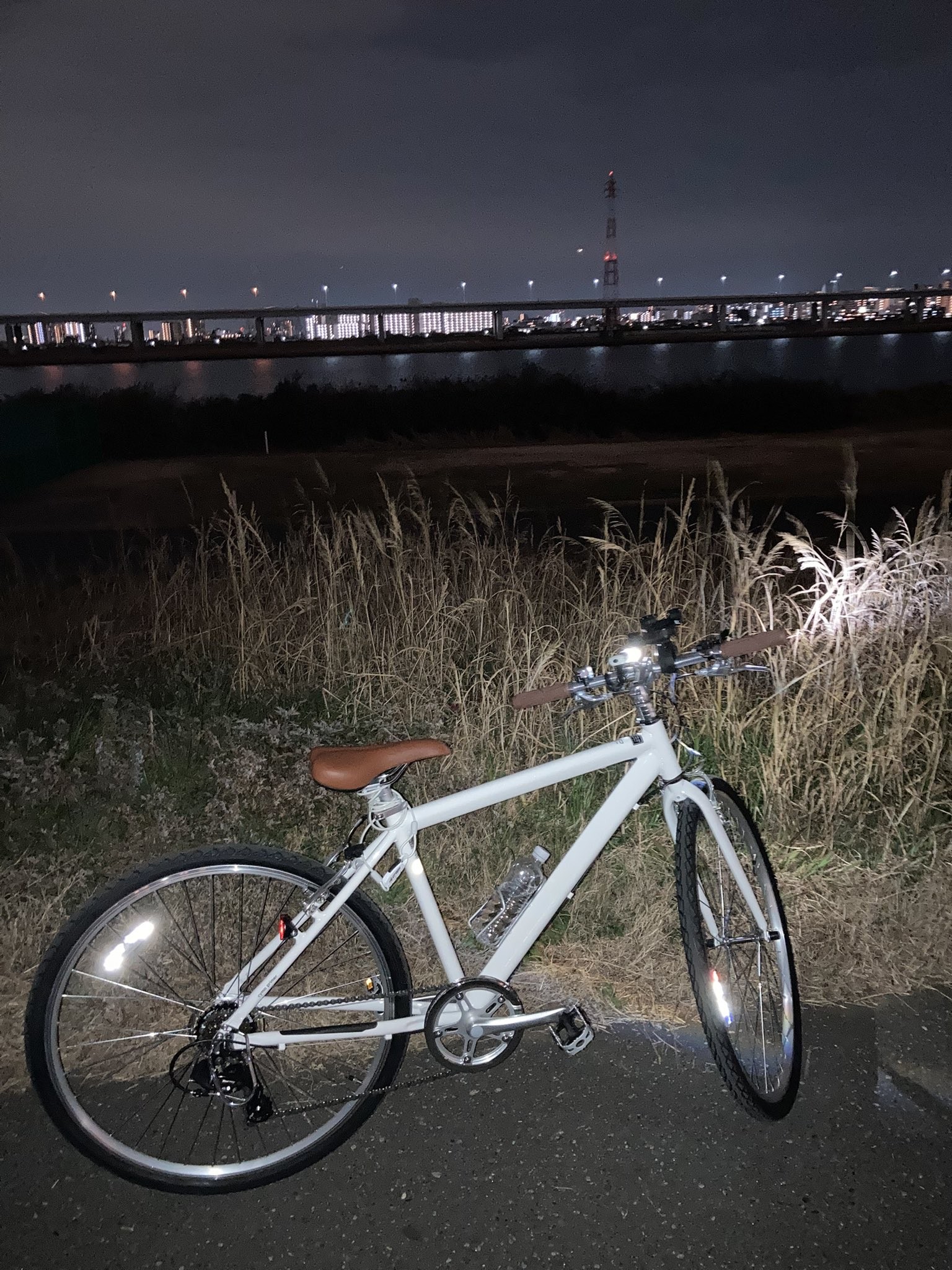 とっても気に入った