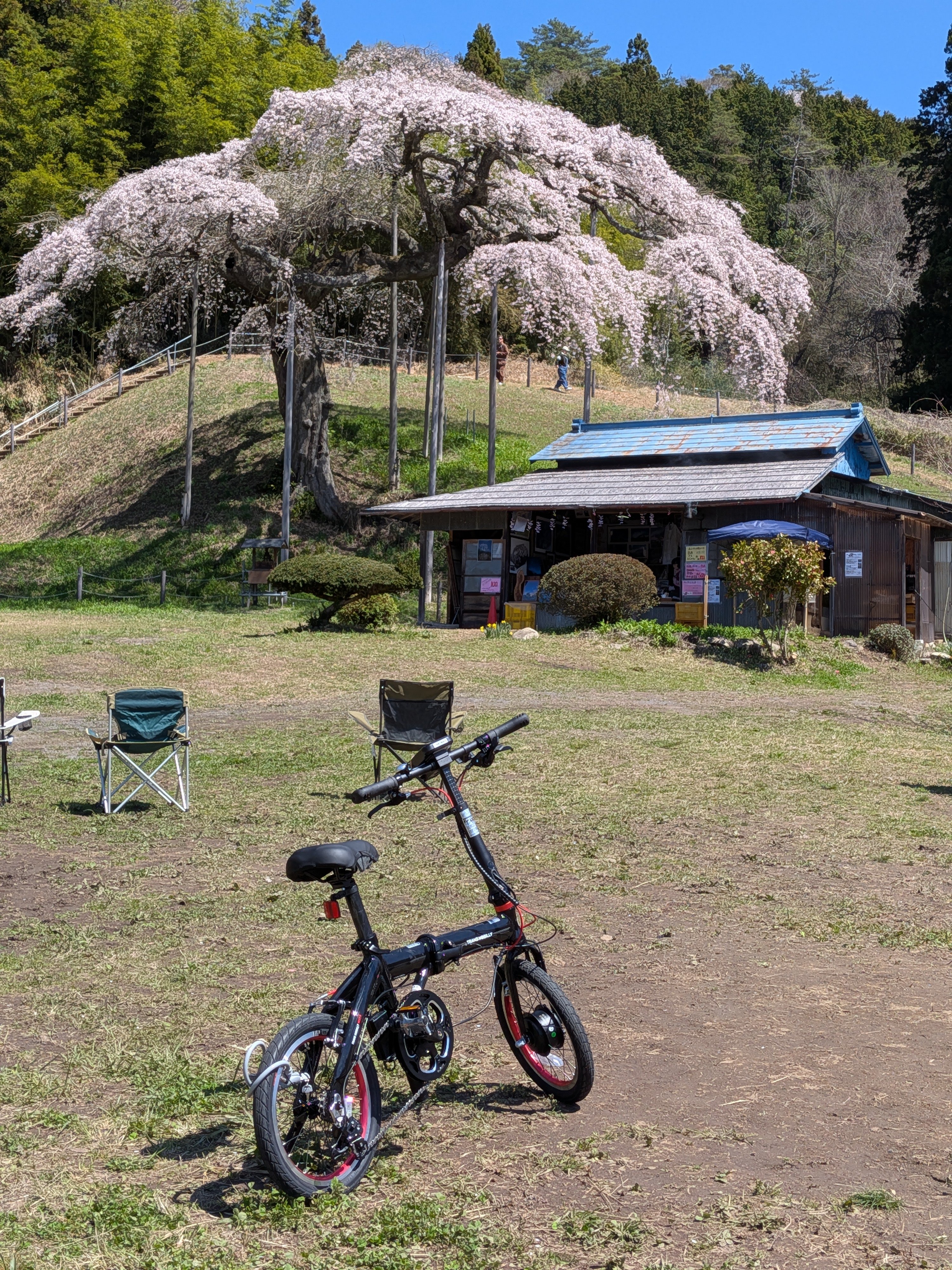 電車で旅行に行きました