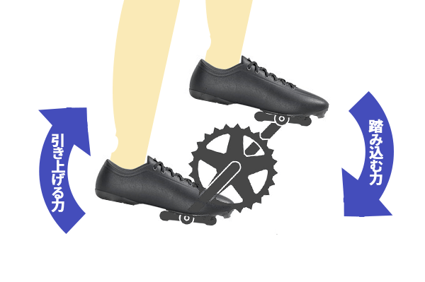 ペダルを引き上げる力も推進力になる