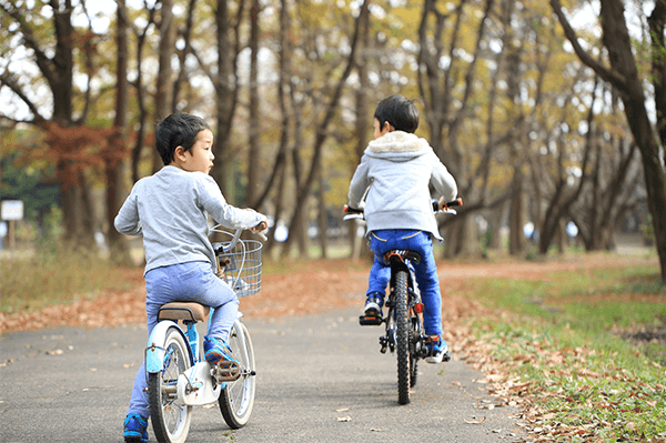 年齢問わず楽しめる