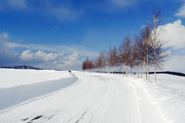 雪道画像